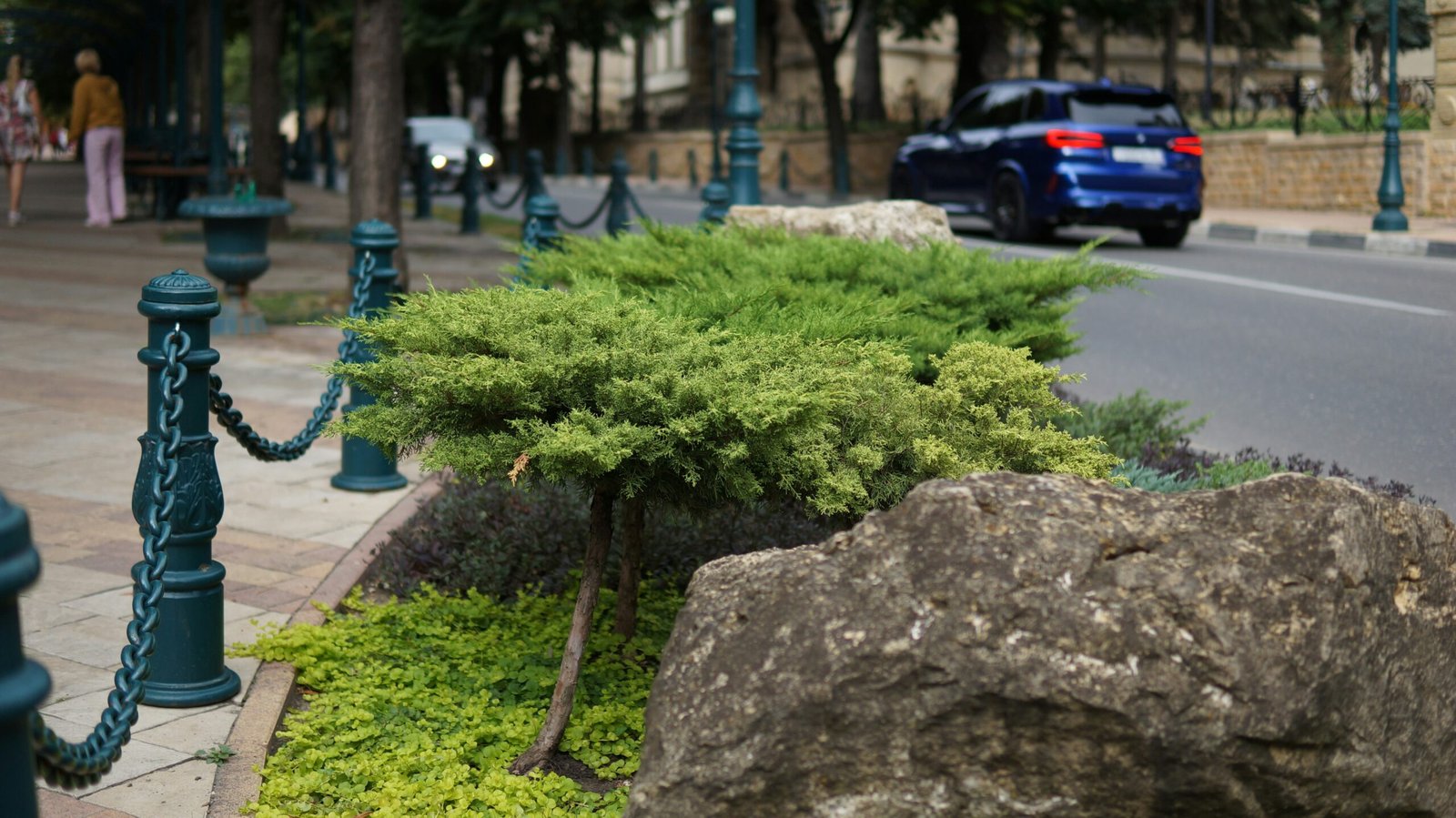 calle-bonsai-el-nuevo-rincon-verde-para-vivir-mejor
