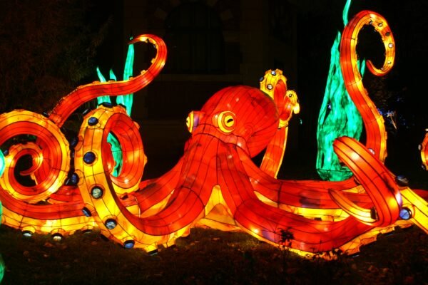 El pulpo como protagonista en las fiestas populares