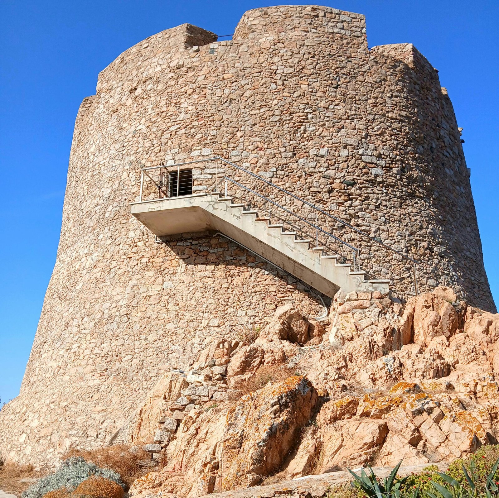 la-torre-de-neila-gastrobar-una-experiencia-culinaria-unica