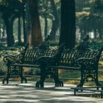 Parque Antonio Machado un espacio verde lleno de vida