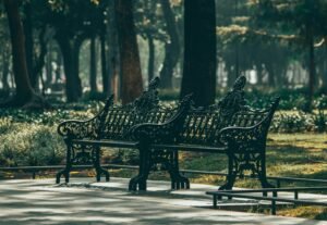 parque-antonio-machado-un-espacio-verde-lleno-de-vida