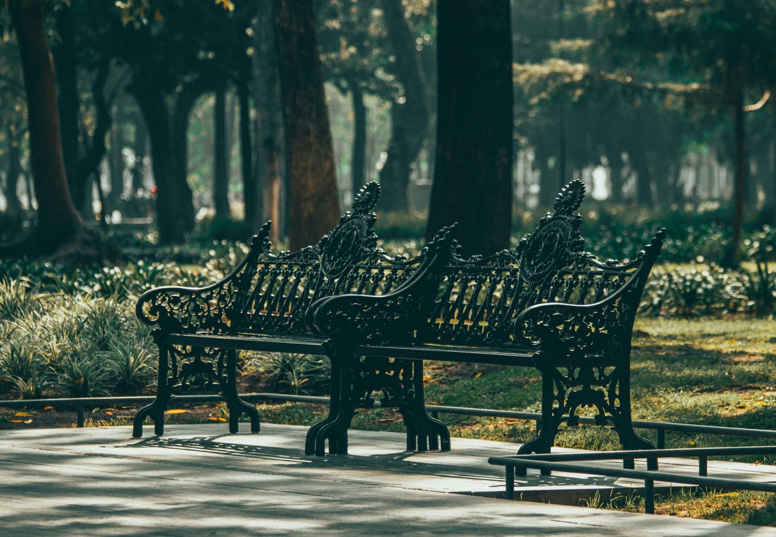 parque-antonio-machado-un-espacio-verde-lleno-de-vida