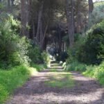 Parque de Andalucía un destino ideal para disfrutar la naturaleza