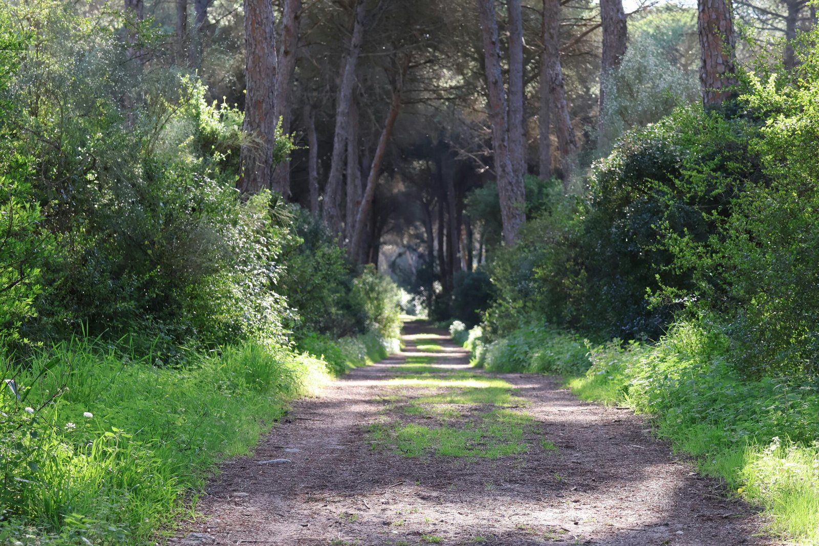 parque-de-andalucia-un-destino-ideal-para-disfrutar-la-naturaleza