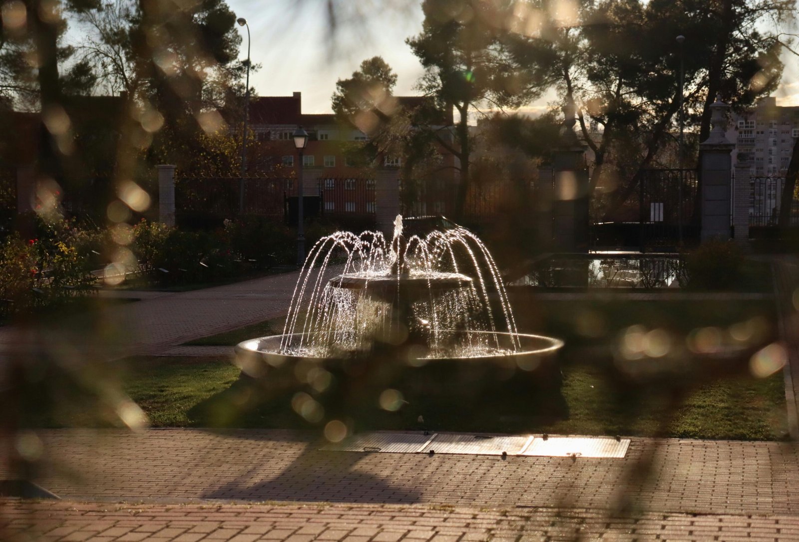 paseo-de-fuente-lucha-un-lugar-ideal-para-vivir-y-disfrutar