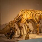 Remanentes arqueológicos que revelan antiguas civilizaciones