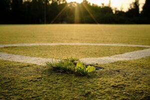 campo-rayo-ciudad-alcobendas-celebra-su-gran-victoria