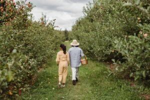 alcobendas-la-gran-manzana-un-destino-ideal-para-familias