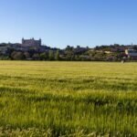 Zona Verde Alcobendas impulsa la sostenibilidad urbana