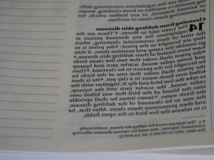 guia-completa-del-punto-limpio-de-cerceda-y-sus-servicios